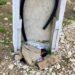 العثور على رضيع حديث الولادة متخلى عنه في طنجة