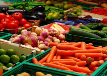 بزيادة 230 بالمائة.. إسبانيا تصرف 928 مليون يورو على استيراد الخضر والفواكه من المغرب