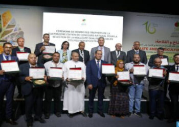 المباراة الوطنية الرابعة عشر لجودة زيت الزيتون البكر الممتازة للموسم الفلاحي 2023/2024 .. النتائج حسب الفئة