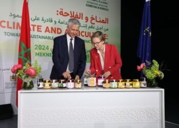 العسل المغربي يخترق السوق الأوروبية مع فتح آفاق جديدة للمنتجين المحليين