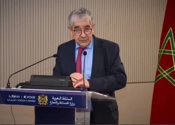 إدريس اليزمي يدعو إلى سياسة استقطاب لكفاءات المهجر في المغرب