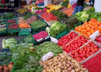 وزير الفلاحة  ينفي تأثير الصادرات الفلاحية على استنزاف المياه ورفع الأسعار