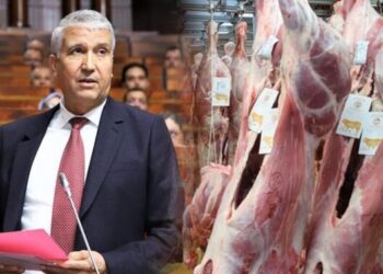  وزير الفلاحة يوضح التدابير الحكومية لمواجهة ارتفاع أسعار اللحوم الحمراء