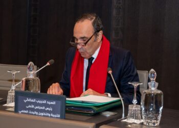 المالكي يدعو إلى دمج تقتيات الذكاء الاصطناعي في التعليم المغربي