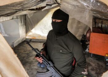 النيجر وجهة جديدة لمقاتلين سوريين موالين لأنقرة