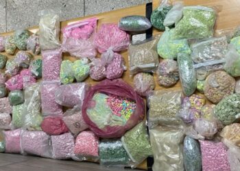 إحباط عملية تهريب وترويج شحنة كبيرة من المؤثرات العقلية في الدار البيضا