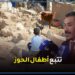 المجلس الوطني لحقوق الإنسان يدرس وضعية الأطـ.فال ضـ.حايا زلزال الحوز