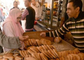 قرار الزيادة في أسعار الخبز غير صحيح