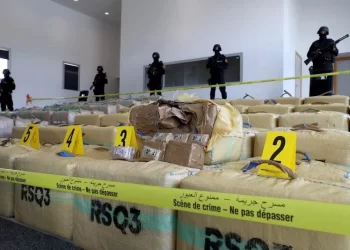 اعتقال سبعة أشخاص وضبط أكثر من 1700 كلغ من الحشيش على سواحل تينيريفي