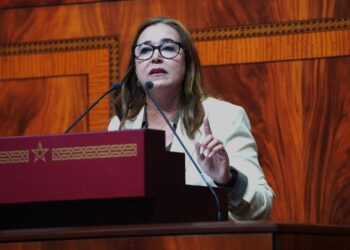 التامني تطالب بسن قوانين لتشجيع مغاربة العالم على الاستثمار والسياحة