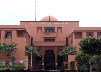 اكتشاف علمي لباحثين مغاربة من جامعة القاضي عياض وباحثين أجانب
