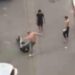 توقيف شخصين لتورطهما في الاعتداء على أشخاص بشارع مالاباطا بطنجة
