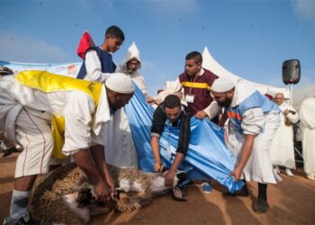 “عيد الأضحى في صنهاجة الساحل.. تقاليد أصيلة وطقوس مميزة”