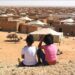 مصير الأطفال المجندين في مخيمات تندوف موضوع نقاش بجنيف
