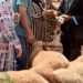 تقرير مندوبية التخطيط: نفقات وممارسة شعائر عيد الأضحى في المغرب