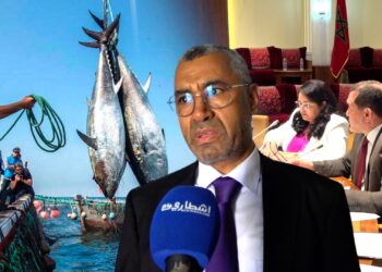 البرلمان يرصد مكامن فشل استراتيجية قطاع الصيد البحري بالمغرب
