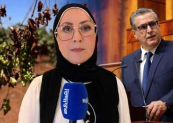 البرلمانية فريدة خنيتي:هناك صفر محصول زراعي من فاكهة العنب بمدينة الناظور وبركان بسبب تداعيات الجفاف