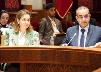 إطلاق بوابة موحدة للخدمات الرقمية قريبًا في المغرب