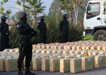 طنجة: تفكيك شبكة دولية لتهريب المخدرات وحجز نصف طن من الشيرا