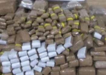 حجز 153 كيلوغرام من الحشيش داخل سيارة مهاجر مغربي بإسبانيا بميناء سبتة