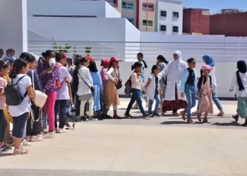 المختصون التربويون والاجتماعيون يهددون بمقاطعة المهام الإدارية احتجاجاً على قرارات وزارة التربية