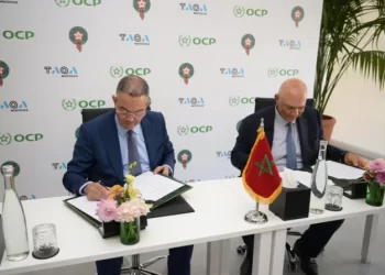  صندوق استثماري جديد لتطوير كرة القدم المغربية