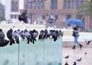 طقس اليوم.. قطرات مطرية بهذه المناطق