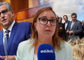 التامني: الحكومة رفضت تقييم المخطط الأخضر ولهذه الأسباب فشل البرنامج