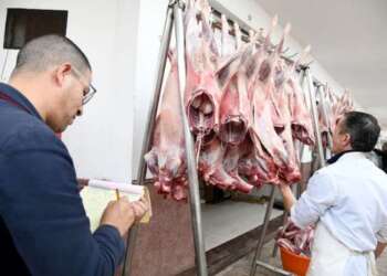 وزير الفلاحة يبحث مع المهنيين سبل كبح غلاء أسعار اللحوم الحمراء