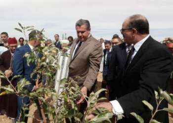 مخطط المغرب الأخضر.. دعوات لتقييم البرنامج في ظل ارتفاع الأسعار