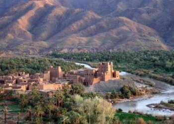 تنمية مناطق الواحات وشجر الأركان تروم تعزيز صمود النظم البيئية