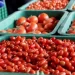 رغم تحديات الجفاف.. المغرب يستمر في الهيمنة على سوق الطماطم البريطانية