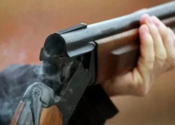 إصابة أربعة أشخاص بجروح خطيرة في تبادل إطلاق النار بين عصابات المخدرات في إقليم شفشاون