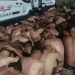 الوكيل العام للملك يفتح بحث قضائي في صور “أشخاص عراة”