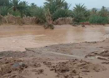 تقييم لأضرار التي خلفتها الفيضانات بواحات طاطا