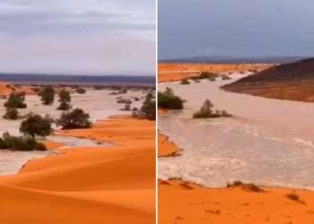 روبورتاج: أمطار استثنائية تحيي بحيرات جنوب شرق المغرب