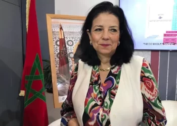 أمل الفلاح السغروشني.. وزيرة مكلفة بالتحول الرقمي