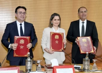 المغرب الرقمي 2030 .. إطلاق طلب إبداء الاهتمام لدعم مواكبة الشركات الناشئة