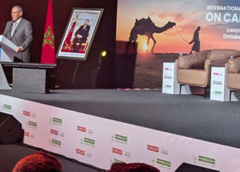 العيون : الدعوة إلى إنشاء قاعدة بيانات علمية موثقة حول أنظمة إنتاج الإبل