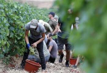 إدانة مغربيين بالاتجار بالبشر في حق عمال موسميين بفرنسا
