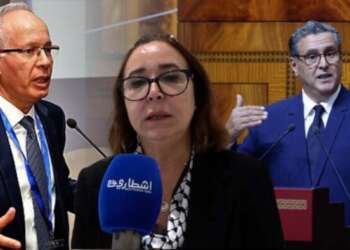 التامني: الحكومة “متغولة” وحاربت هيئة النزاهة بخفض ميزانيتها بسبب تقاريرها