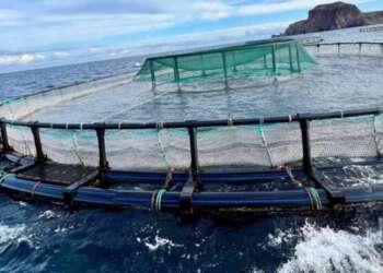 قطاع الصيد البحري يعلن عن خطط طموحة لتوسيع مشاريع تربية الأحياء المائية بالمغرب