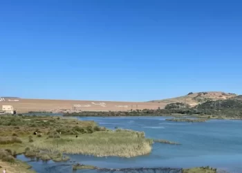 المغرب في مواجهة أزمة المياه: تراجع حاد في الموارد وإستراتيجيات للتكيف