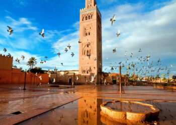 ننزه كل وطني عن لعب دور الادعاء العام فالخطأ لا يصلحه الخطأ