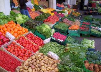 المغرب يعزز مكانته كمزوّد رئيسي للسوق الزراعية البريطانية وضامن للأمن الغذائي العالمي