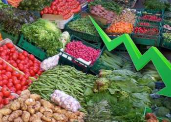 سوق الجملة للخضر والفواكه بالدار البيضاء يحقق رقماً قياسياً في 2024
