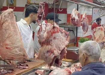 استيراد اللحوم الحمراء في المغرب.. تدبير لا يزال بعيدًا عن تخفيف عبئ الأسعار على المستهلكين
