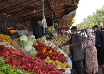 الحكومة شريكة في فوضى الأسعار