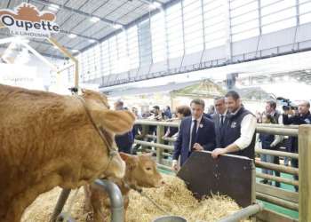 أخنوش: المغرب ضيف شرف جاء نتيحة تتويج للشراكة الاستراتيجية مع فرنسا