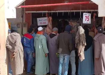انخفاض حاد في أسعار المواشي بالاسواق المغربية وسط دعوات لخفض أسعار اللحوم